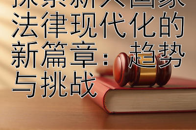 探索新兴国家法律现代化的新篇章：趋势与挑战