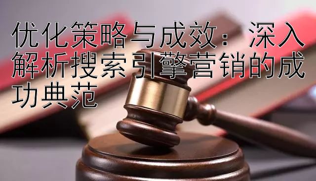 优化策略与成效：深入解析搜索引擎营销的成功典范