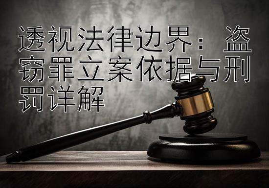 透视法律边界：盗窃罪立案依据与刑罚详解