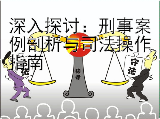 深入探讨：刑事案例剖析与司法操作指南