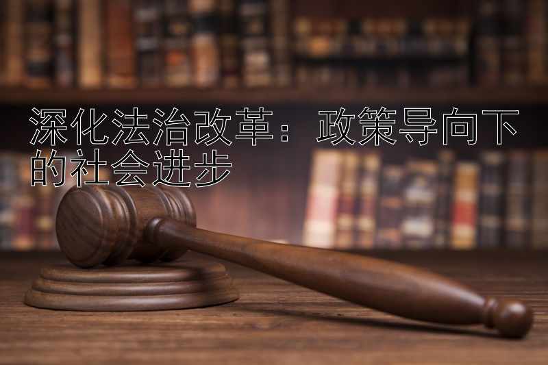 深化法治改革：政策导向下的社会进步