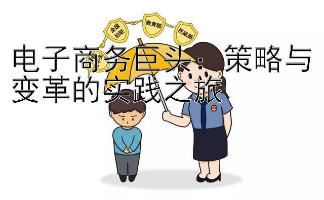 电子商务巨头：策略与变革的实践之旅