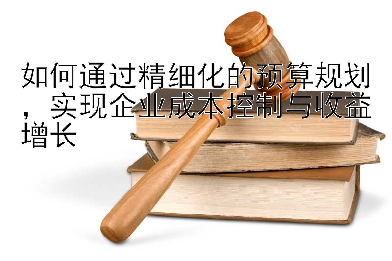 如何通过精细化的预算规划，实现企业成本控制与收益增长