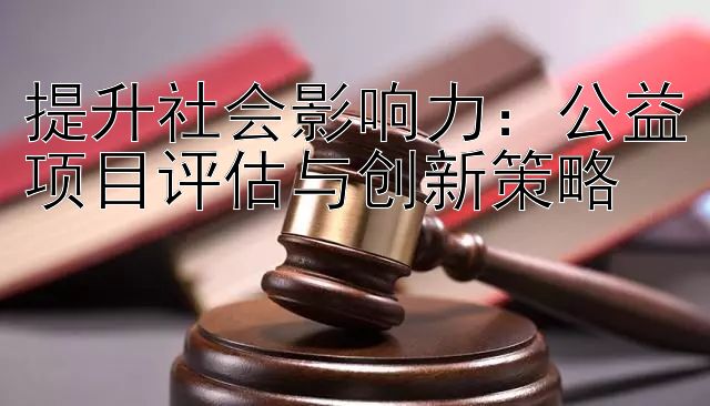 提升社会影响力：公益项目评估与创新策略