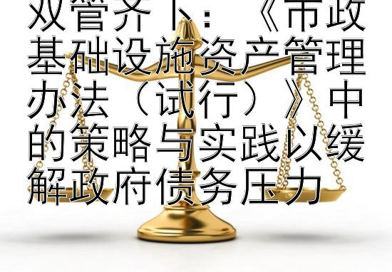 双管齐下：《市政基础设施资产管理办法（试行）》中的策略与实践以缓解政府债务压力