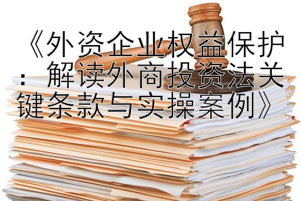 《外资企业权益保护：解读外商投资法关键条款与实操案例》