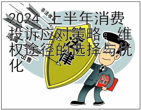 2024 上半年消费投诉应对策略：维权途径的选择与优化