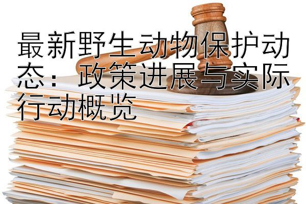 最新野生动物保护动态：政策进展与实际行动概览