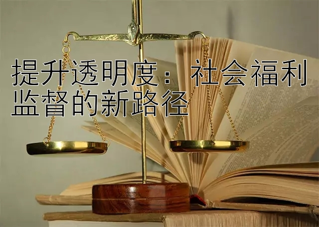 提升透明度：社会福利监督的新路径