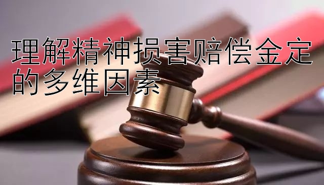 理解精神损害赔偿金定的多维因素