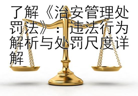 了解《治安管理处罚法》：违法行为解析与处罚尺度详解