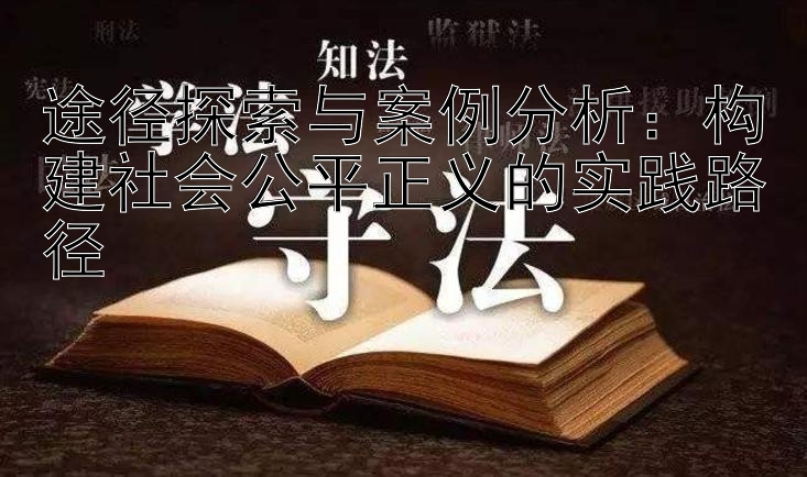 途径探索与案例分析：构建社会公平正义的实践路径