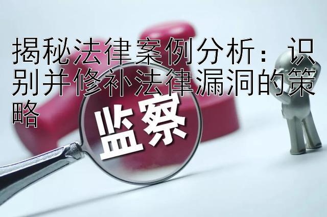 揭秘法律案例分析：识别并修补法律漏洞的策略