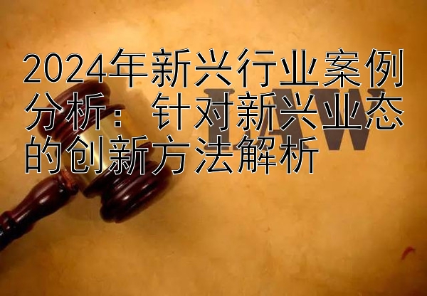 2024年新兴行业案例分析：针对新兴业态的创新方法解析