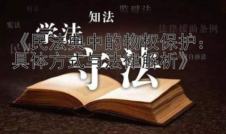 《民法典中的物权保护：具体方式与法律解析》